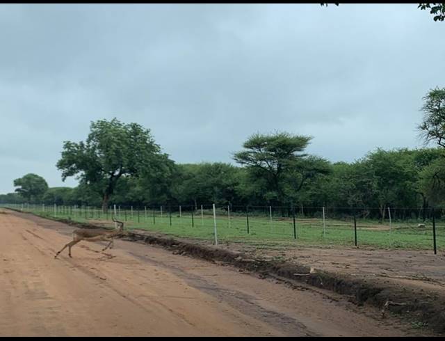 FARM FOR SALE IN DWAALBOOM